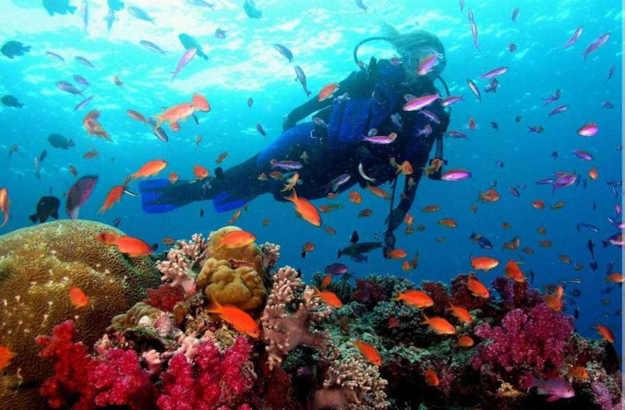 Traveler'S Room เมเลนารา ภายนอก รูปภาพ